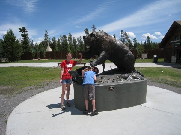 Montana Grizzly Bear Sanctuary near Yellowstone National Park, 2009, Tracy Donner